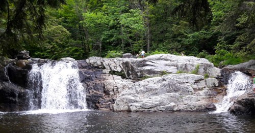 A serene waterfall cascades over rocks into a calm pool, surrounded by lush green trees and a peaceful forest setting.