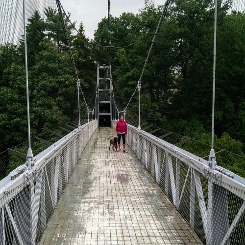 A person in a pink jacket walks a dog on a suspension bridge surrounded by trees. The bridge has a wet surface.