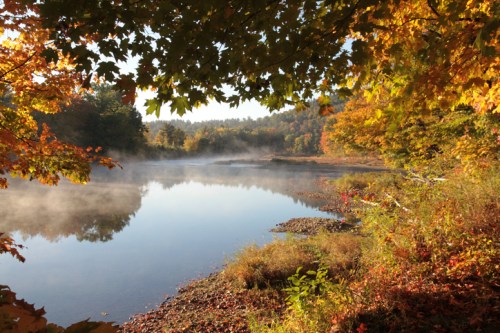 A serene lake surrounded by colorful autumn foliage and morning mist, reflecting the vibrant fall colors.