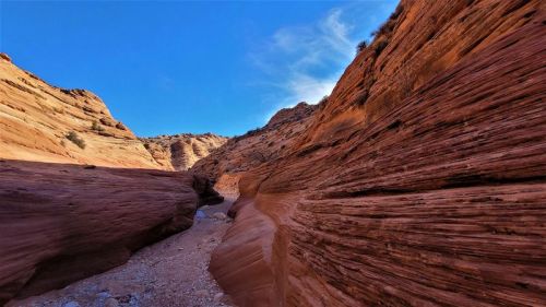 A narrow canyon with vibrant red rock formations under a clear blue sky.