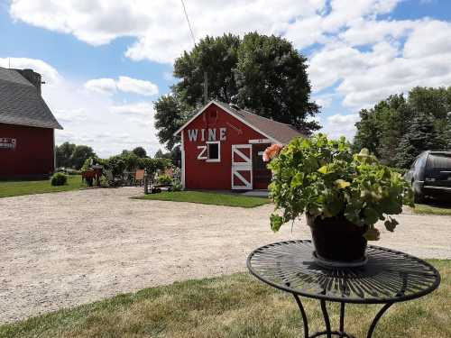 A red barn labeled "WINE" with a flower pot on a table in the foreground, surrounded by green fields and a cloudy sky.