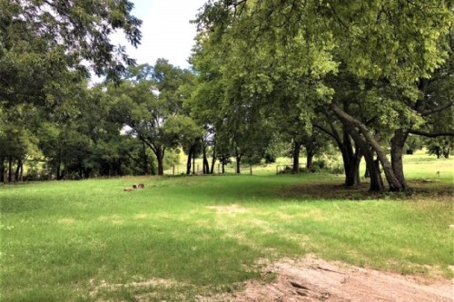 A serene landscape featuring a grassy area surrounded by lush green trees under a clear sky.
