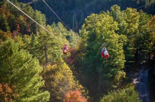 Two people ziplining through a forest with vibrant autumn foliage and tall trees below.