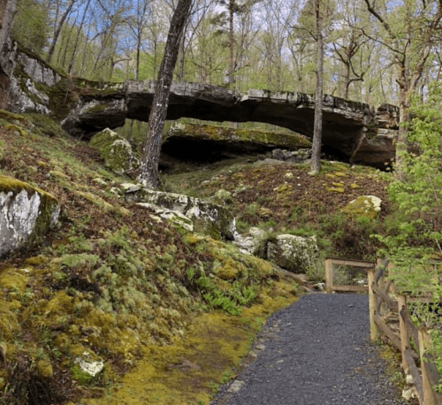 A scenic view of a moss-covered landscape with a large rock overhang and a gravel path surrounded by trees.