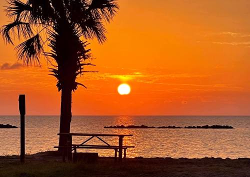 A serene sunset over the ocean, with a palm tree silhouette and a picnic table in the foreground.