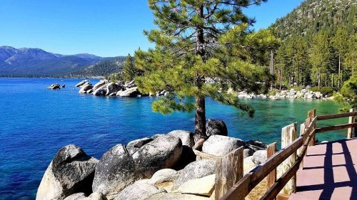 A serene lakeside view with clear blue water, rocky shores, and lush green trees under a bright sky.