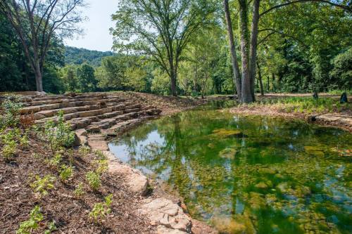 A serene pond surrounded by trees and stone steps, reflecting the greenery and blue sky in a peaceful outdoor setting.