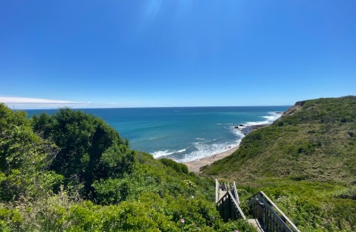 A scenic view of a coastline with lush greenery, sandy beach, and clear blue ocean under a bright sky.