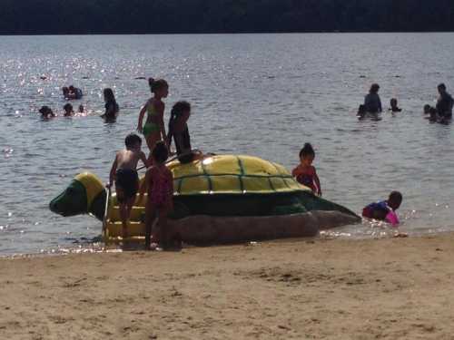 Children play on a large turtle-shaped float in a lake, with others swimming nearby on a sunny day.