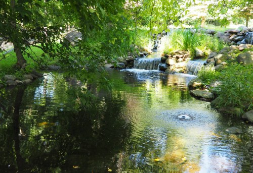 A serene pond surrounded by lush greenery and small waterfalls, reflecting the trees above.