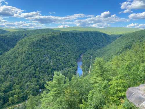 A scenic view of a lush green valley with a winding river, under a bright blue sky with fluffy clouds.