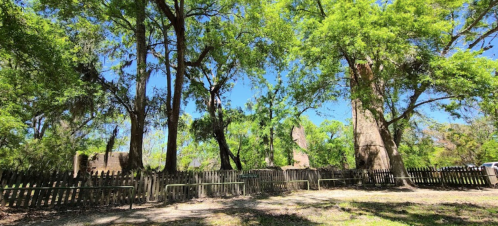 A lush green landscape with tall trees and a wooden fence, set against a clear blue sky.