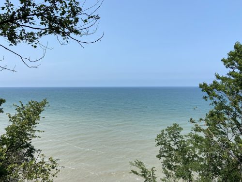 A serene view of a calm sea meeting a clear blue sky, framed by green trees on the shore.