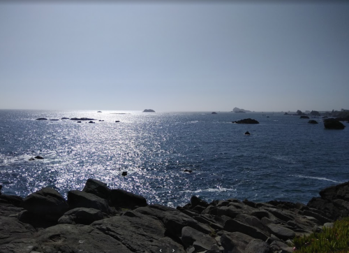 A serene ocean view with shimmering water and rocky shoreline under a clear sky.