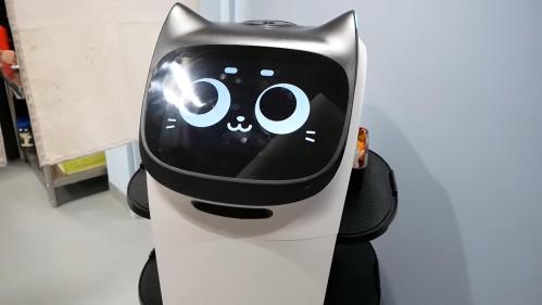 A cute robot with a cat-like face and large eyes, standing on a cart in a light-colored room.