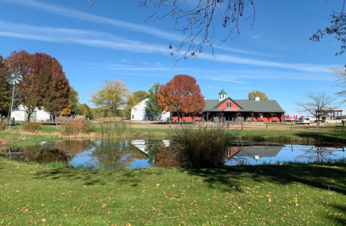 A scenic view of a pond reflecting a red-roofed building and colorful trees under a clear blue sky.