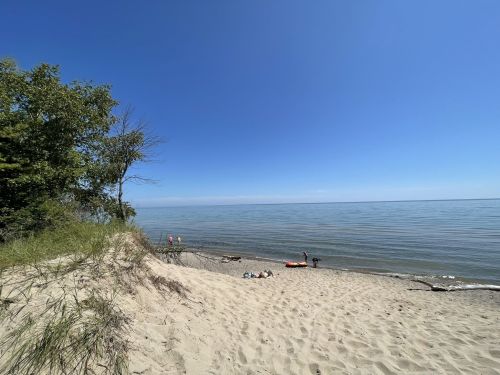 A sandy beach with gentle waves, trees in the background, and a clear blue sky. People are enjoying the water.