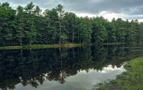 A serene lake surrounded by lush green trees, reflecting the landscape under a cloudy sky.