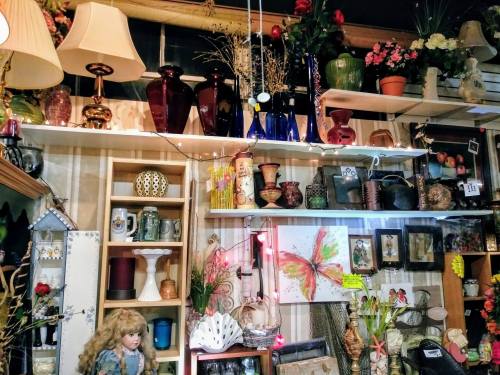 A cozy display of vintage decor, including vases, lamps, and framed art, arranged on shelves with plants and lights.