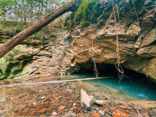 A serene cave entrance with clear blue water, surrounded by lush greenery and rocky terrain.