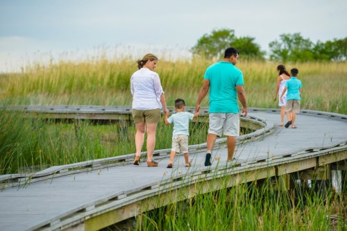 A family walks hand-in-hand along a wooden boardwalk through tall grass in a serene outdoor setting.