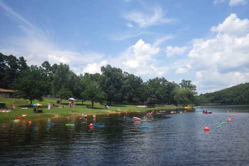 A sunny lakeside scene with people swimming, lounging on the grass, and colorful floats in the water under a blue sky.