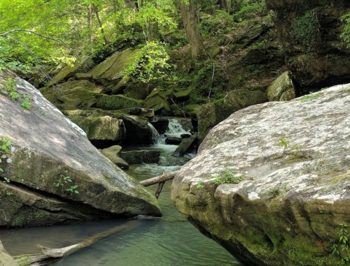 A serene creek flows between large rocks, surrounded by lush green trees and mossy boulders in a tranquil forest setting.
