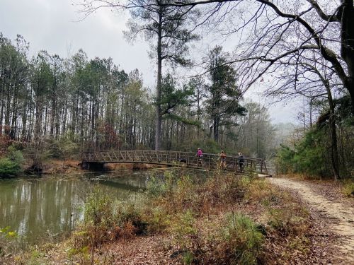 A wooden bridge spans a calm pond, surrounded by trees and a dirt path, with two people walking in the distance.