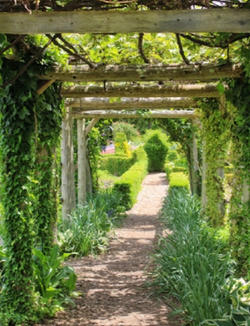 A serene garden path lined with lush greenery and wooden arches, creating a tranquil, inviting atmosphere.