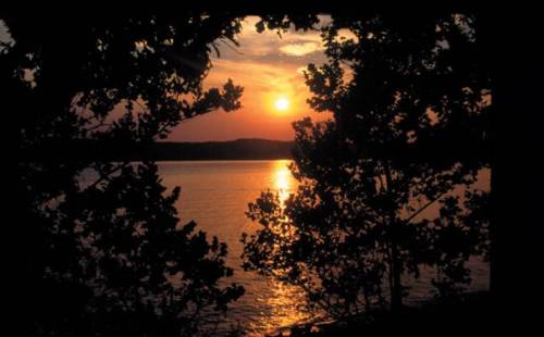 Sunset over a calm lake, framed by silhouetted trees, casting a warm glow on the water's surface.