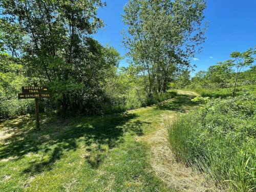 A sunny path through greenery, with a signpost for "Butterfly Trail" and "Skyline Trail" visible.