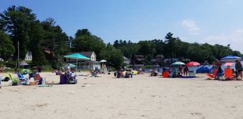 A busy beach scene with people relaxing on sand, colorful umbrellas, and trees in the background.