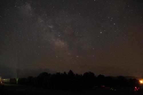 A starry night sky filled with stars and the Milky Way, silhouetted by dark trees in the foreground.