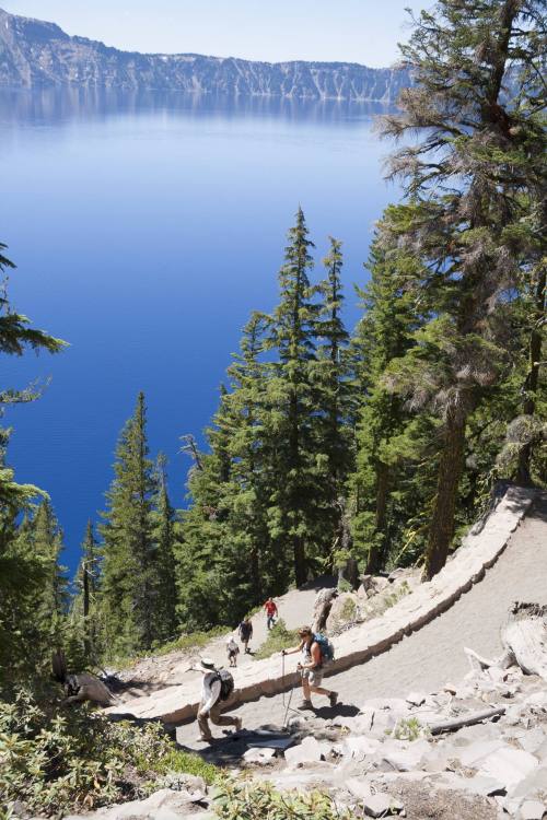 Hikers ascend a steep trail surrounded by lush trees, with a deep blue lake visible in the background.