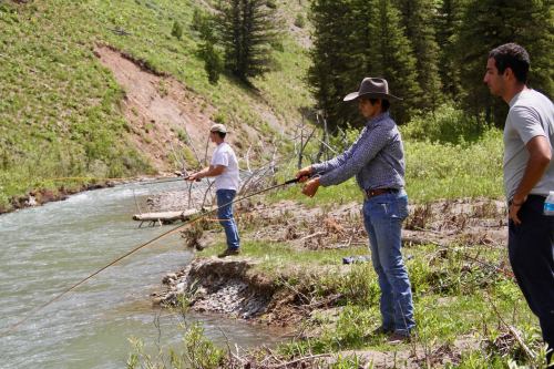Three people fishing by a river surrounded by greenery and trees on a sunny day.