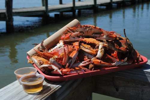 A tray of freshly cooked crabs with dipping sauces, resting on a wooden dock by the water.