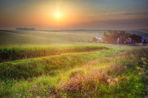 A serene sunrise over a lush green landscape with fields, wildflowers, and a distant farmhouse.