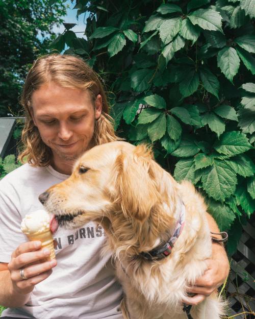 A man enjoys ice cream while a golden retriever eagerly licks the cone, surrounded by lush green leaves.