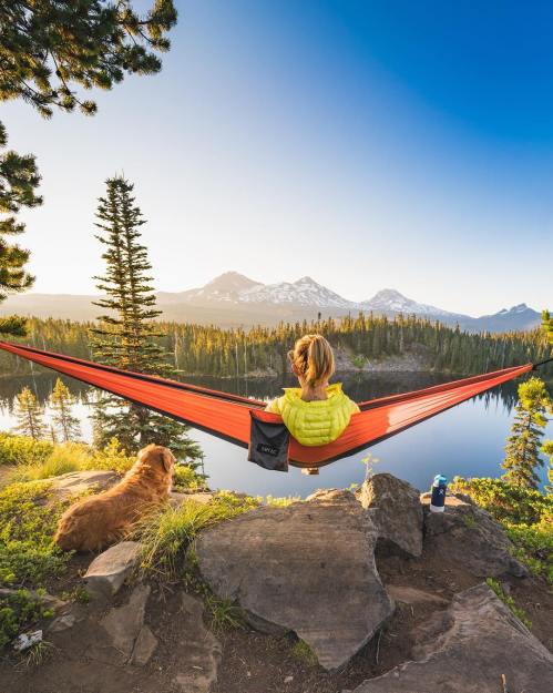 A person relaxes in a hammock by a lake, with a dog nearby and mountains in the background under a clear blue sky.