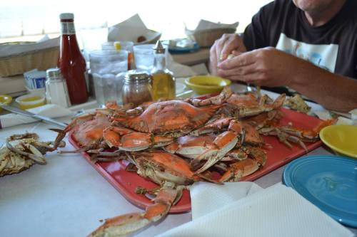 A table covered with cooked crabs, condiments, and a person preparing to eat, with a scenic background.