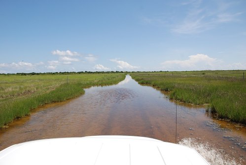 A vehicle's view of a narrow waterway surrounded by lush green grass under a clear blue sky.