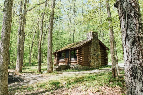 A rustic log cabin surrounded by lush green trees in a serene forest setting.