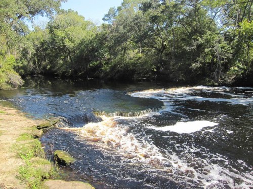 A serene river scene with gentle rapids, surrounded by lush green trees under a clear blue sky.
