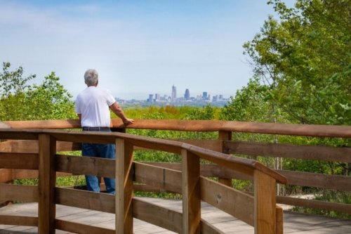 A person stands on a wooden overlook, gazing at a city skyline surrounded by greenery.