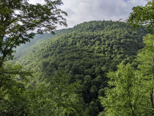 Lush green hills under a cloudy sky, surrounded by dense trees and natural landscape.