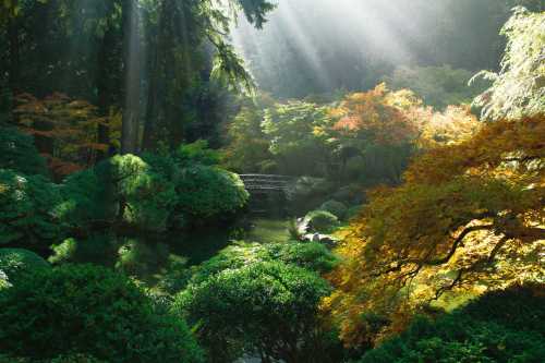 A serene garden scene with vibrant autumn foliage, sunlight streaming through trees, and a tranquil pond.