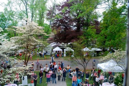 A lively outdoor event with crowds, tents, and blooming trees in a park setting.