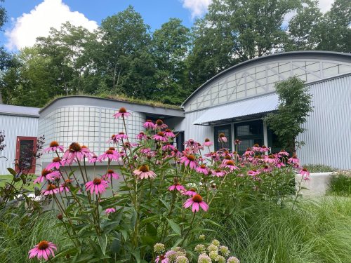 A modern building surrounded by vibrant pink flowers and lush greenery under a blue sky with scattered clouds.