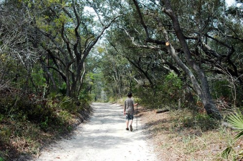 A person walks along a sandy trail surrounded by trees and greenery, holding a walking stick.