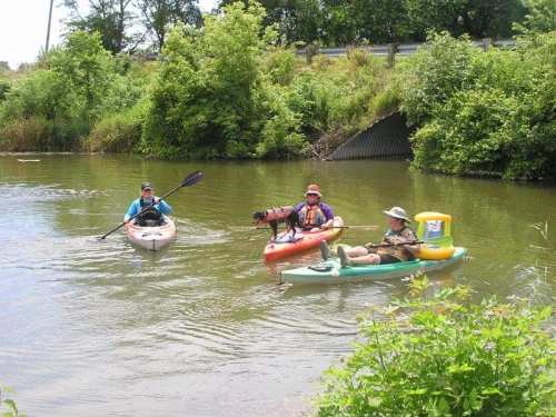 Three people kayaking on a calm river surrounded by greenery and trees.